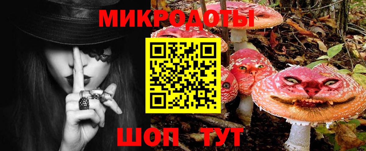 Галлюциногенные грибы прущие грибы Калининград